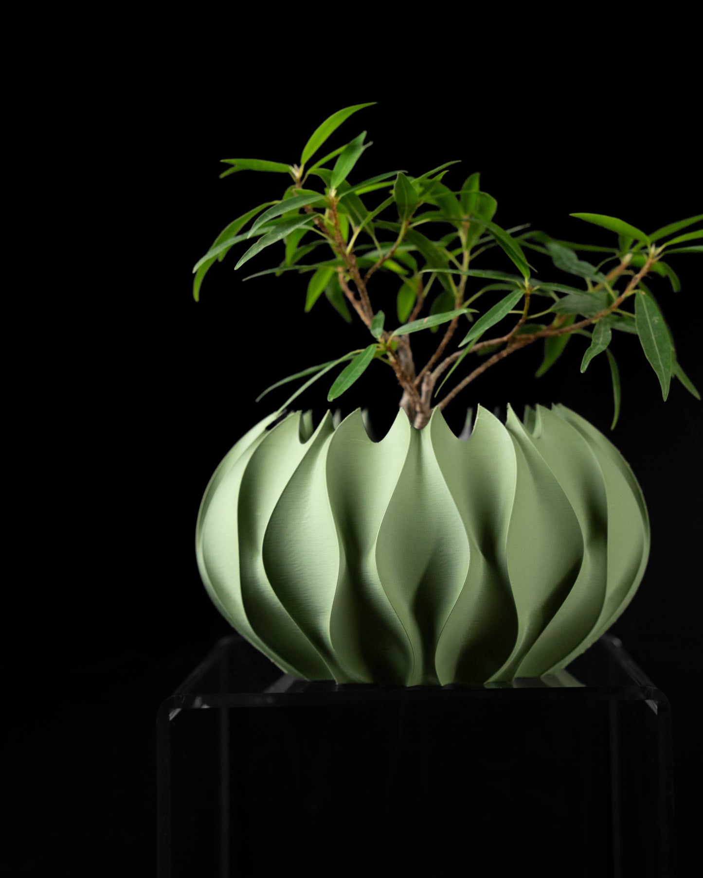 ABYSSAL Planter