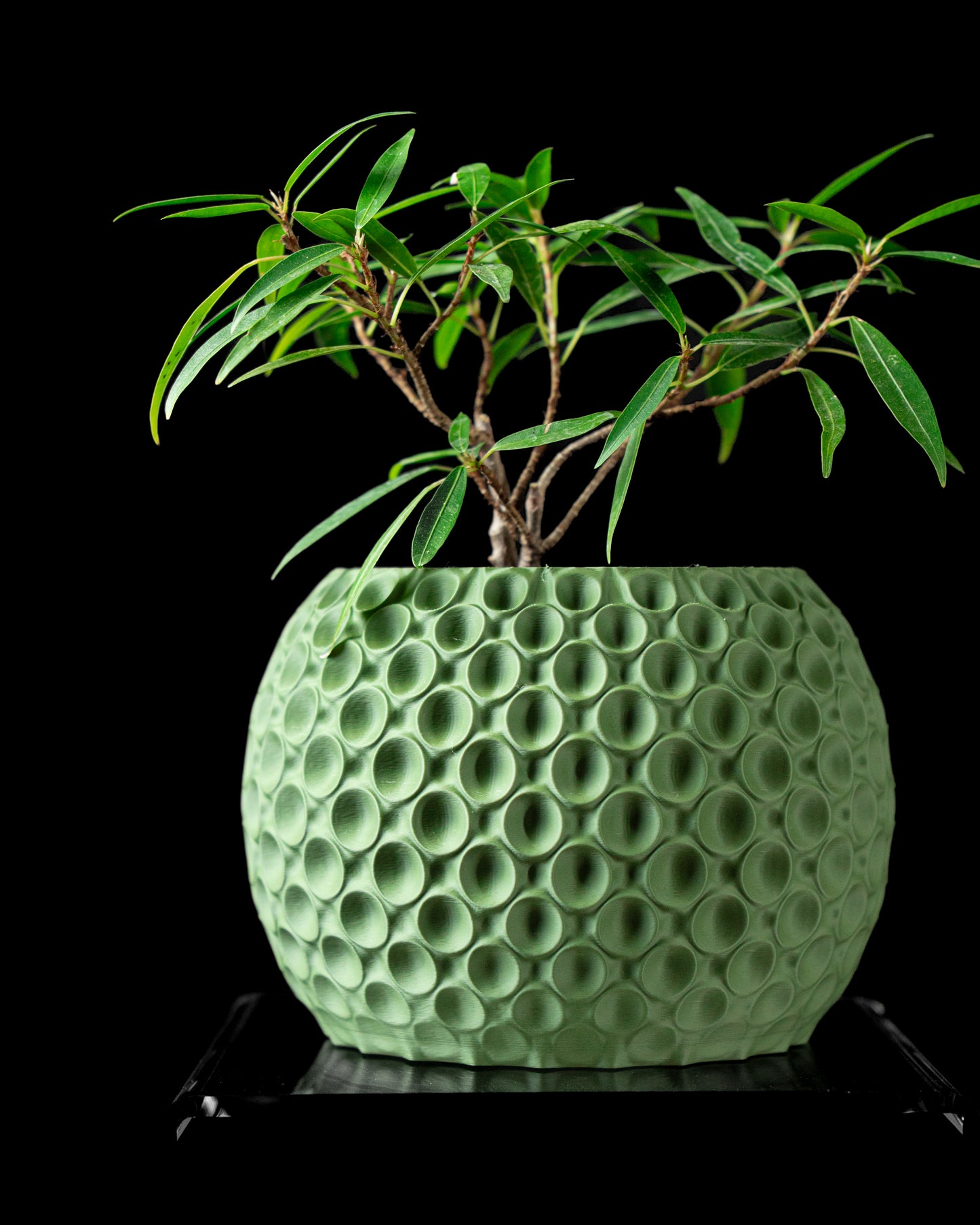 Bubble Planter