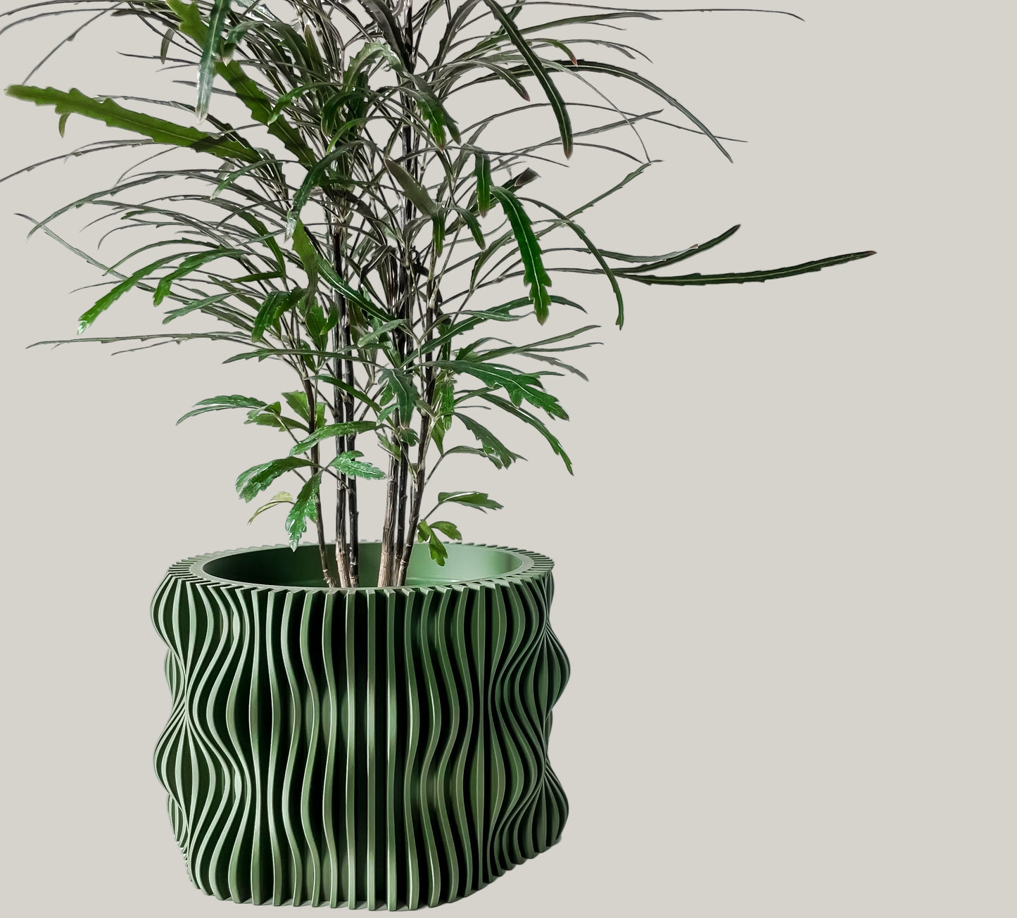 MUXEL Planter