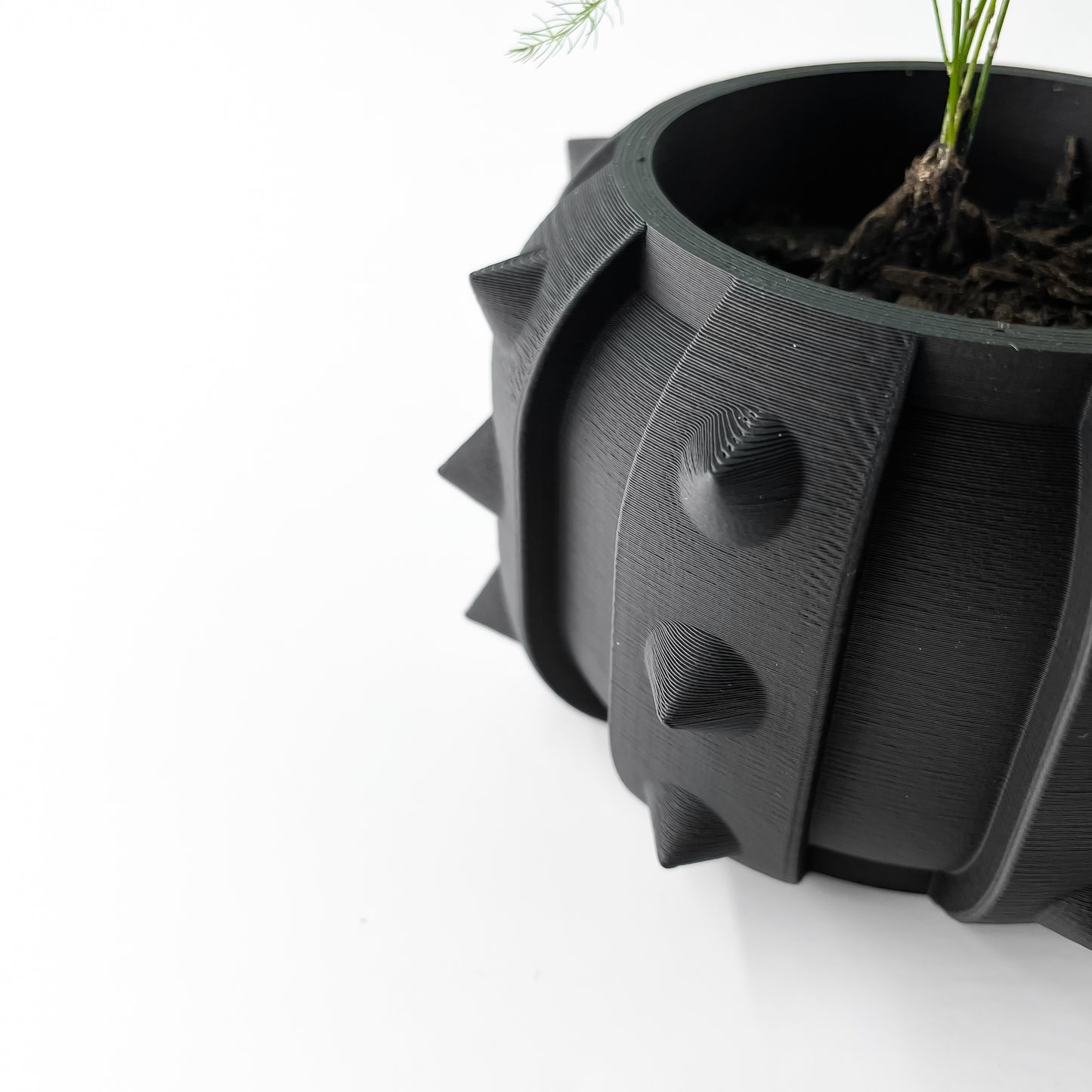 ALVERT Plant