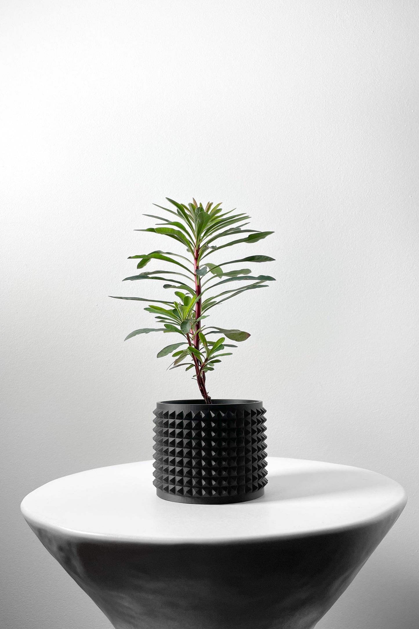 ANVER Planter