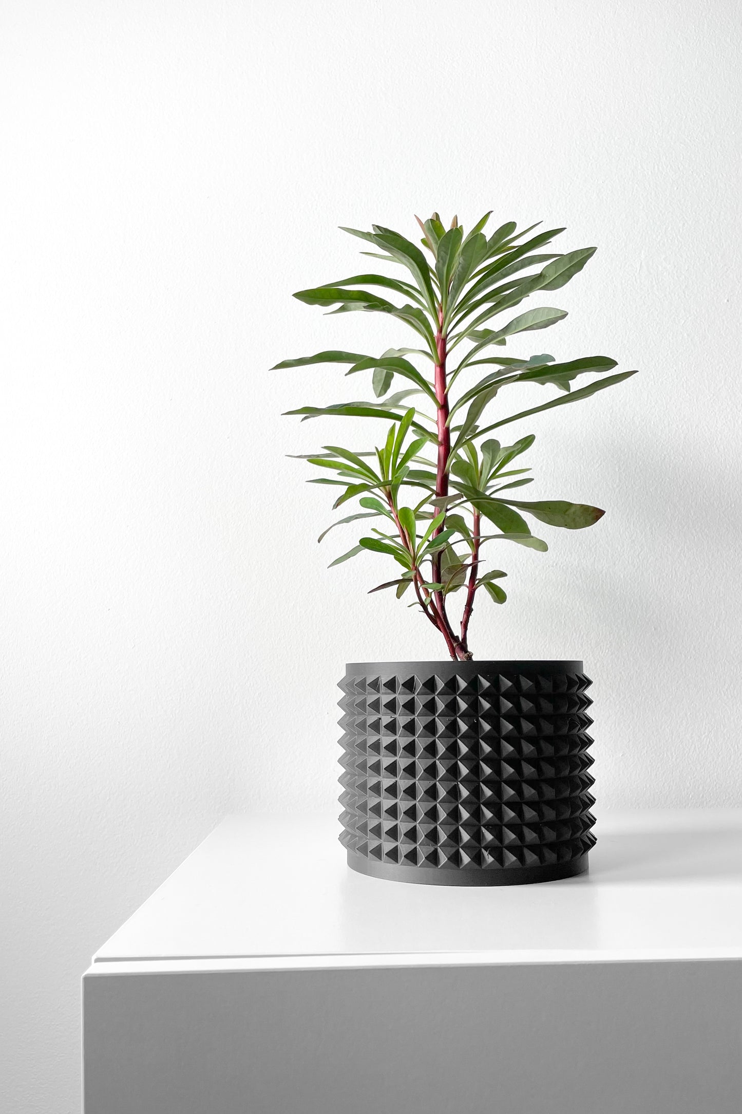 ANVER Planter