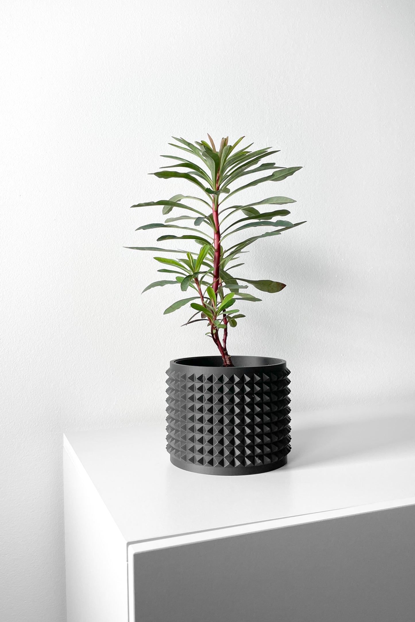 ANVER Planter