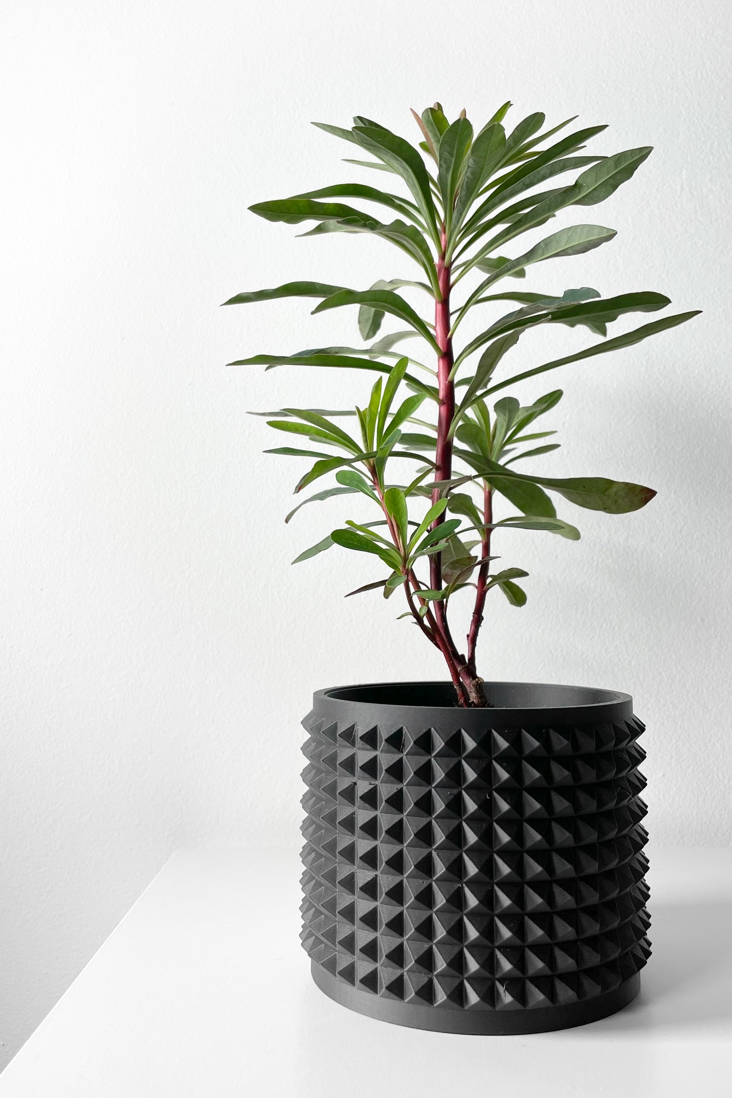 ANVER Planter