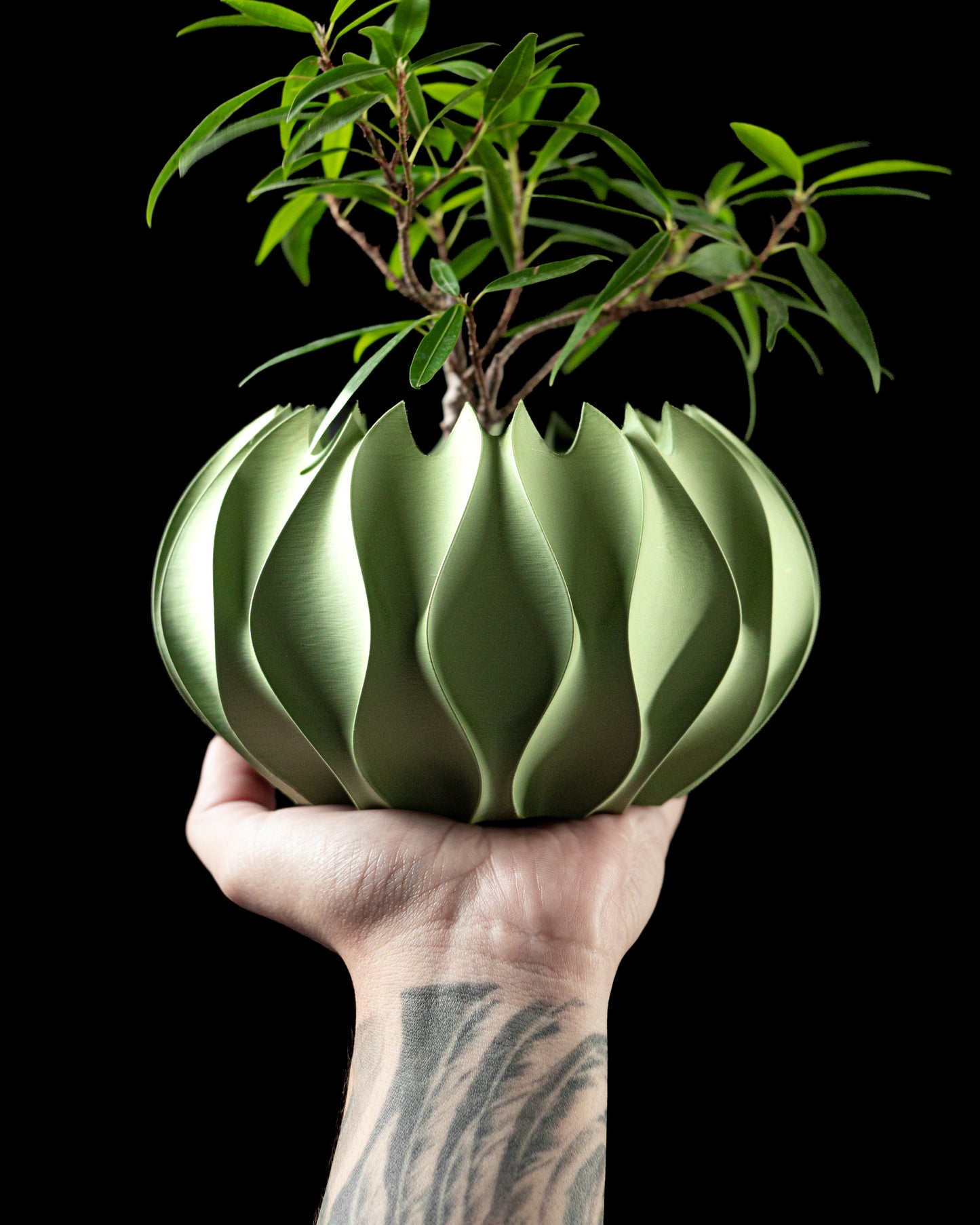ABYSSAL Planter