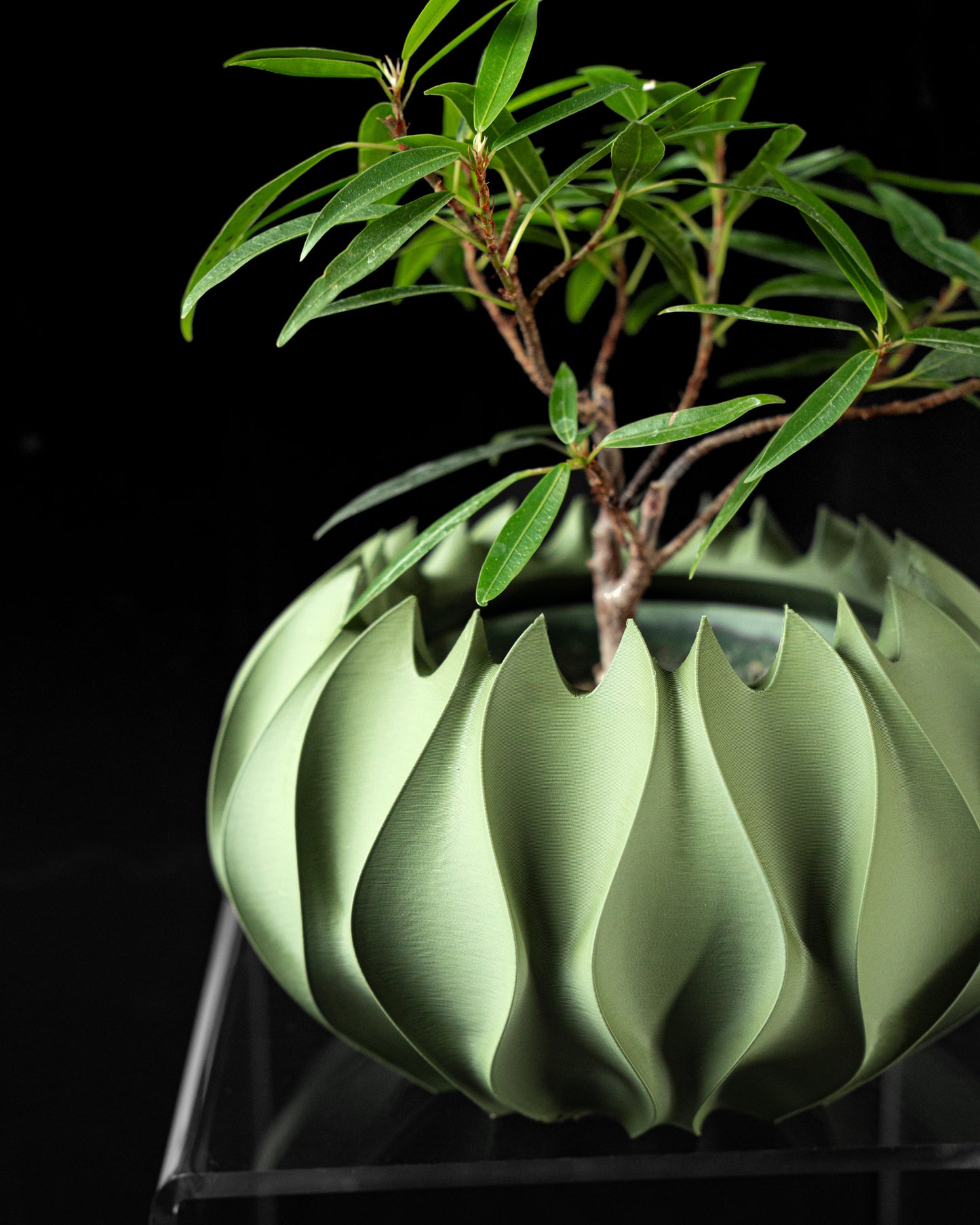 ABYSSAL Planter