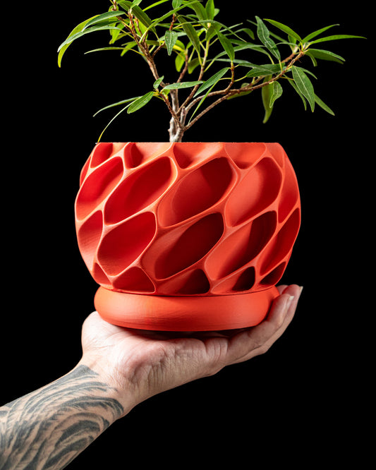 EXO Planter