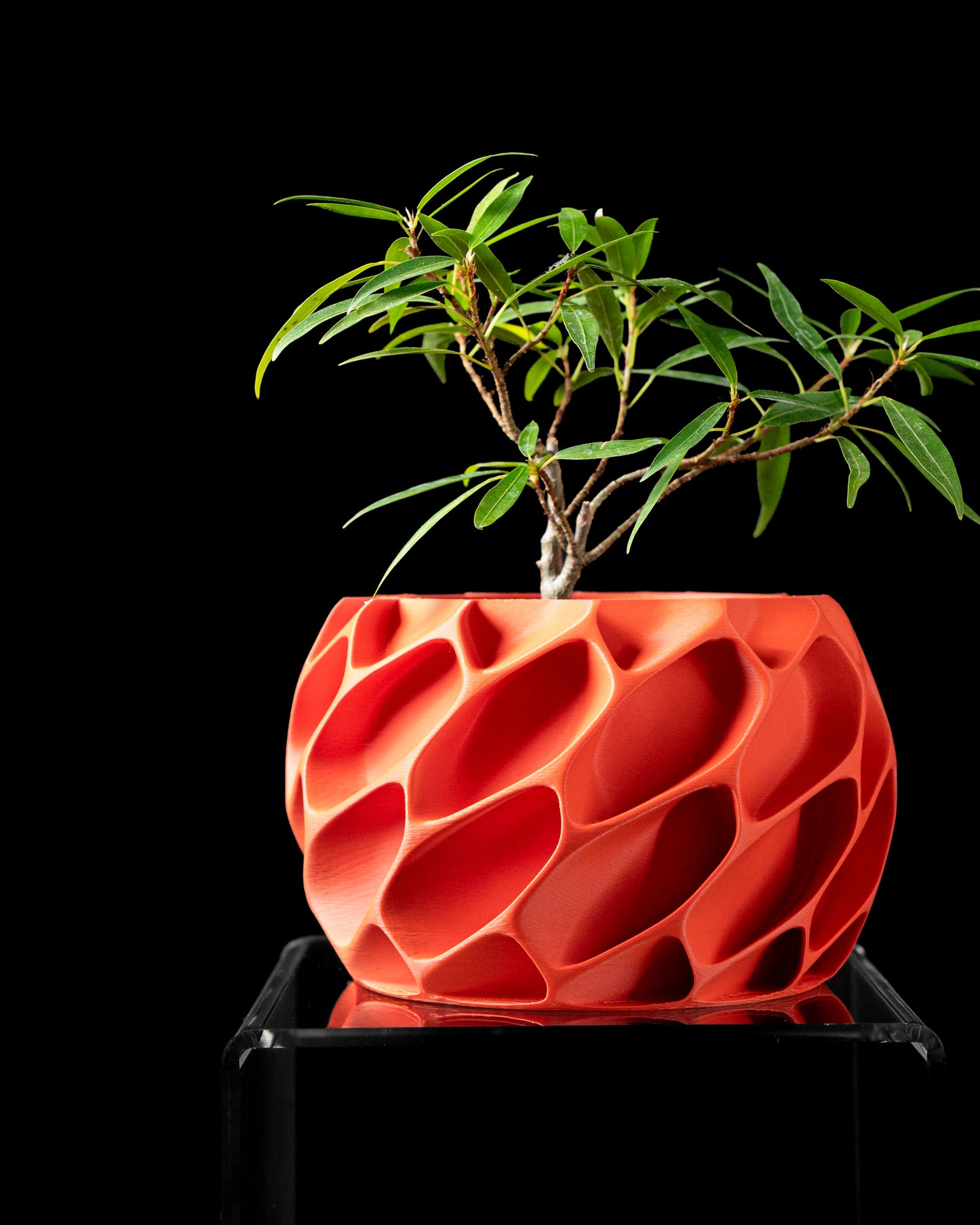 EXO Planter