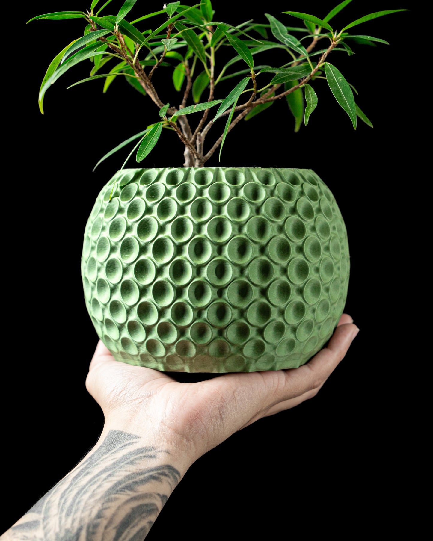 Bubble Planter
