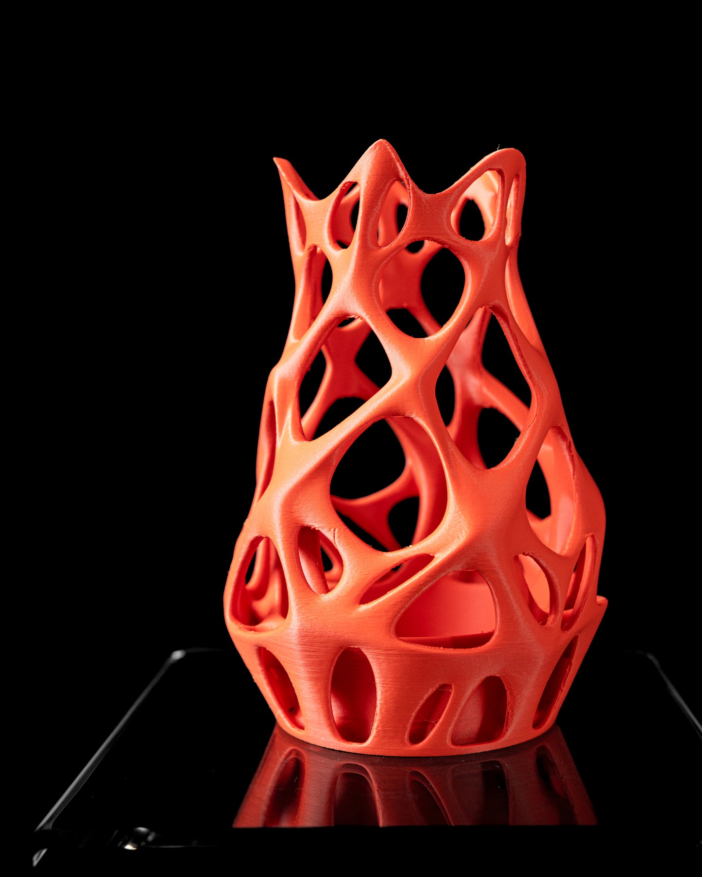 NOVA Flower Vase