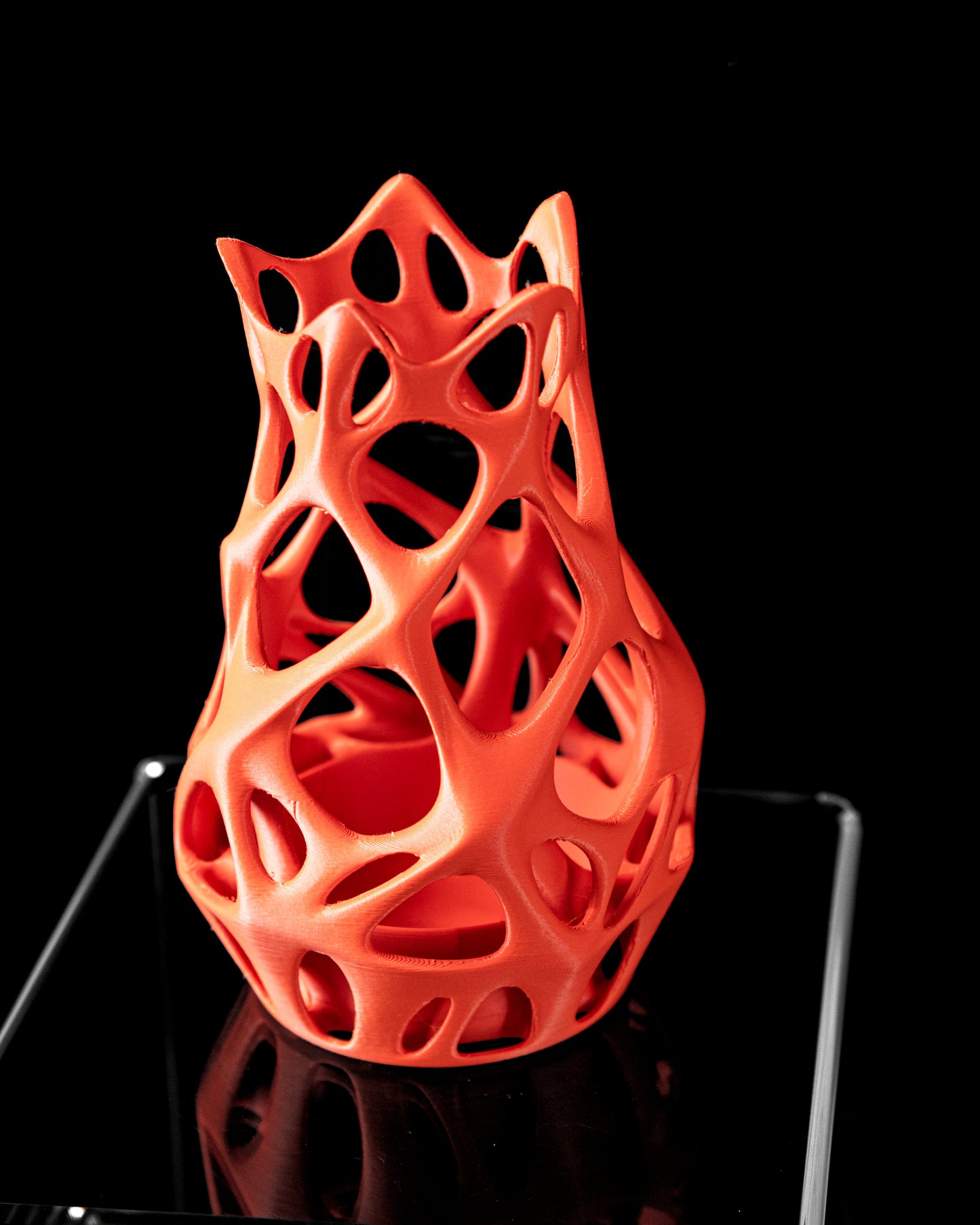 NOVA Flower Vase