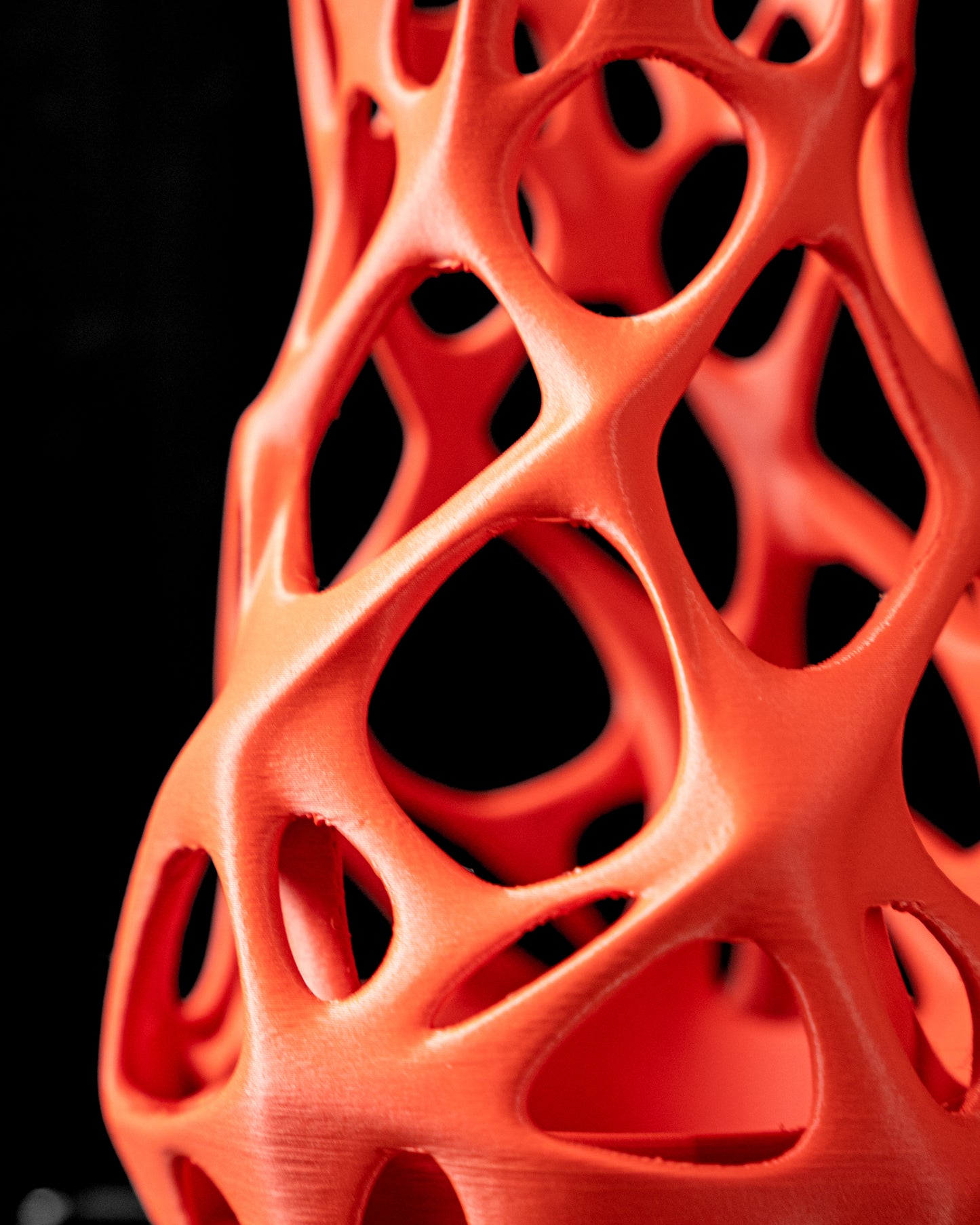 NOVA Flower Vase