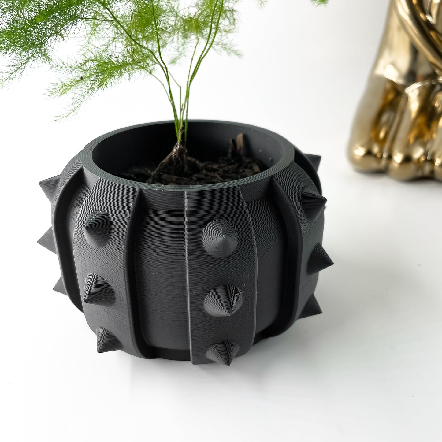 ALVERT Plant