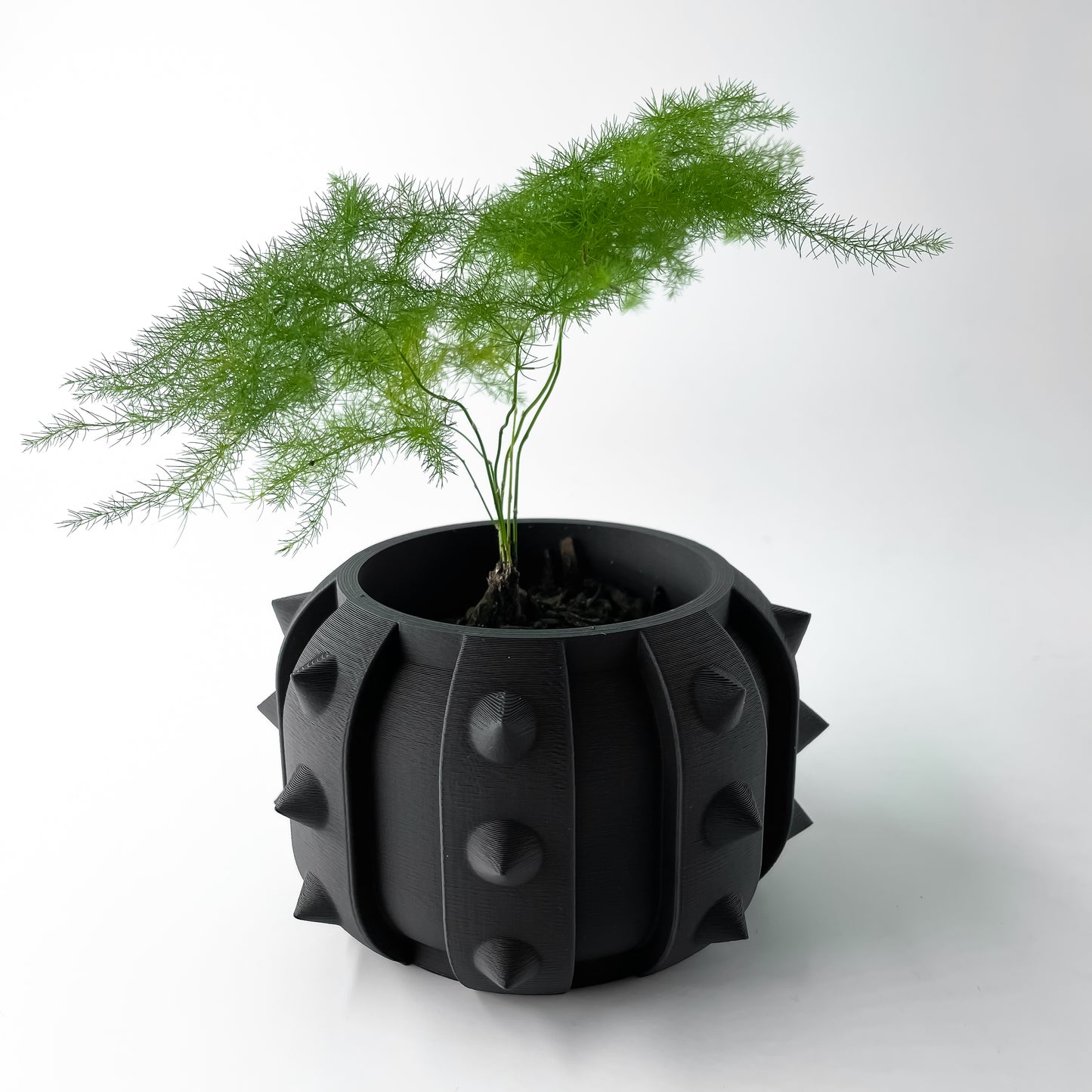 ALVERT Plant