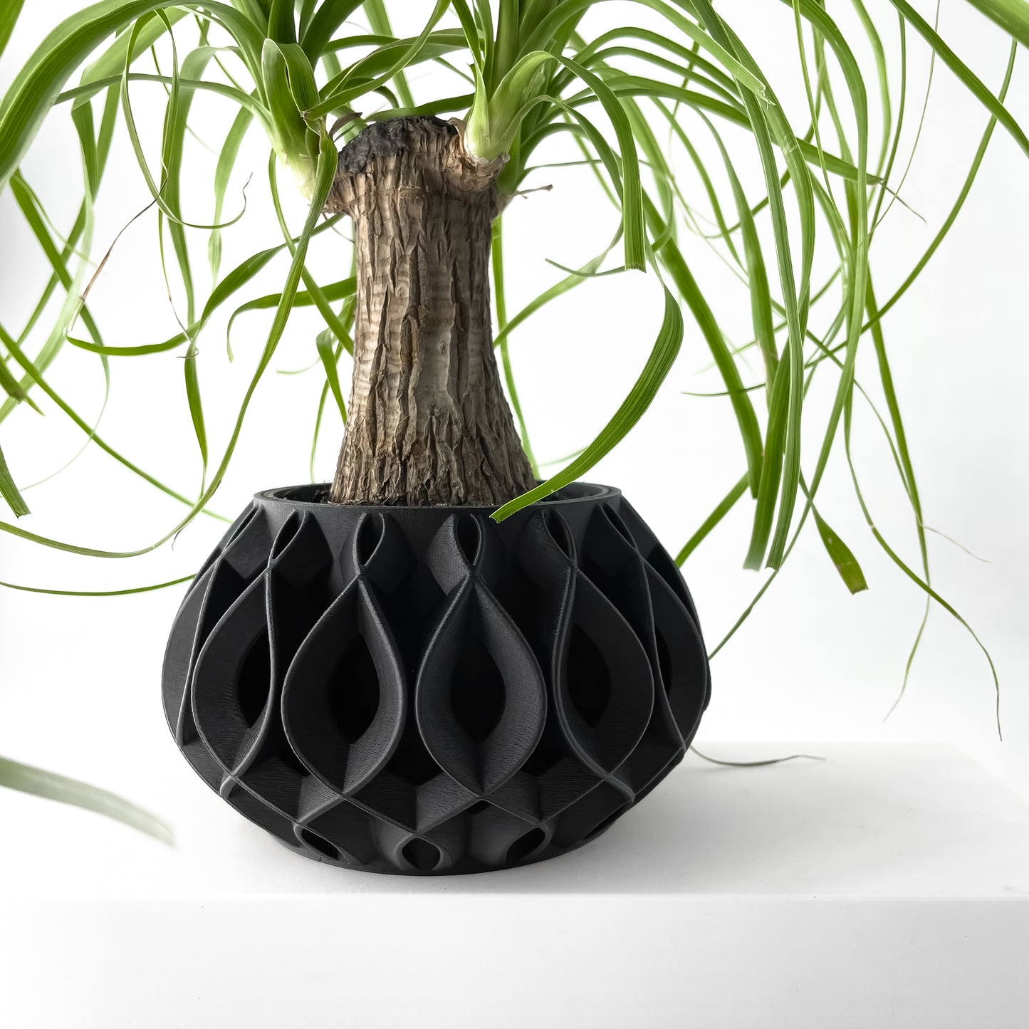 ALVERT Plant