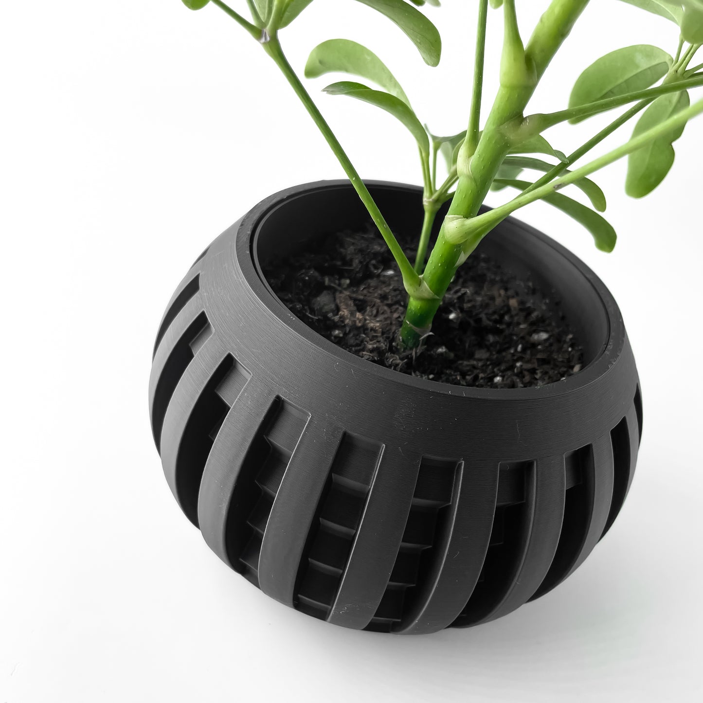 AMADA Planter