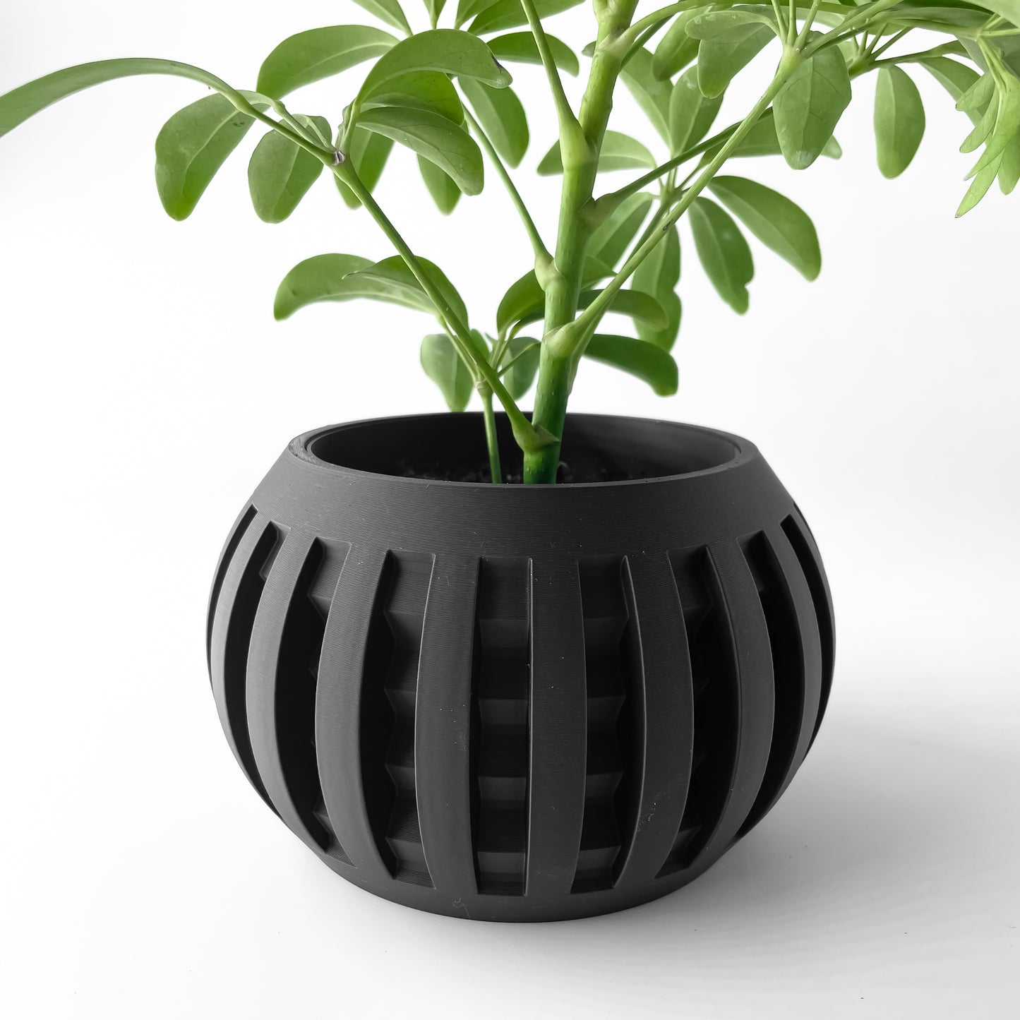 AMADA Planter