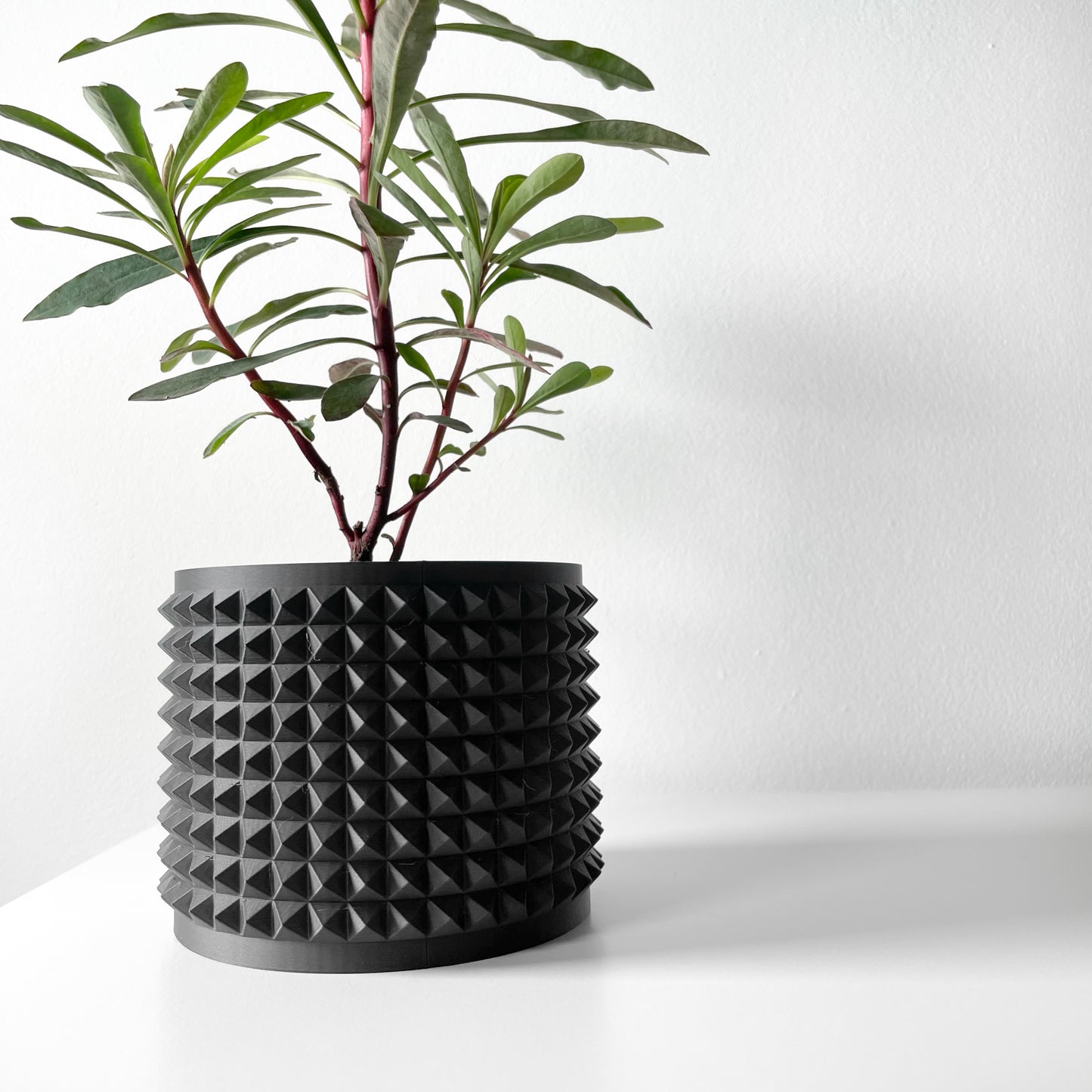ANVER Planter