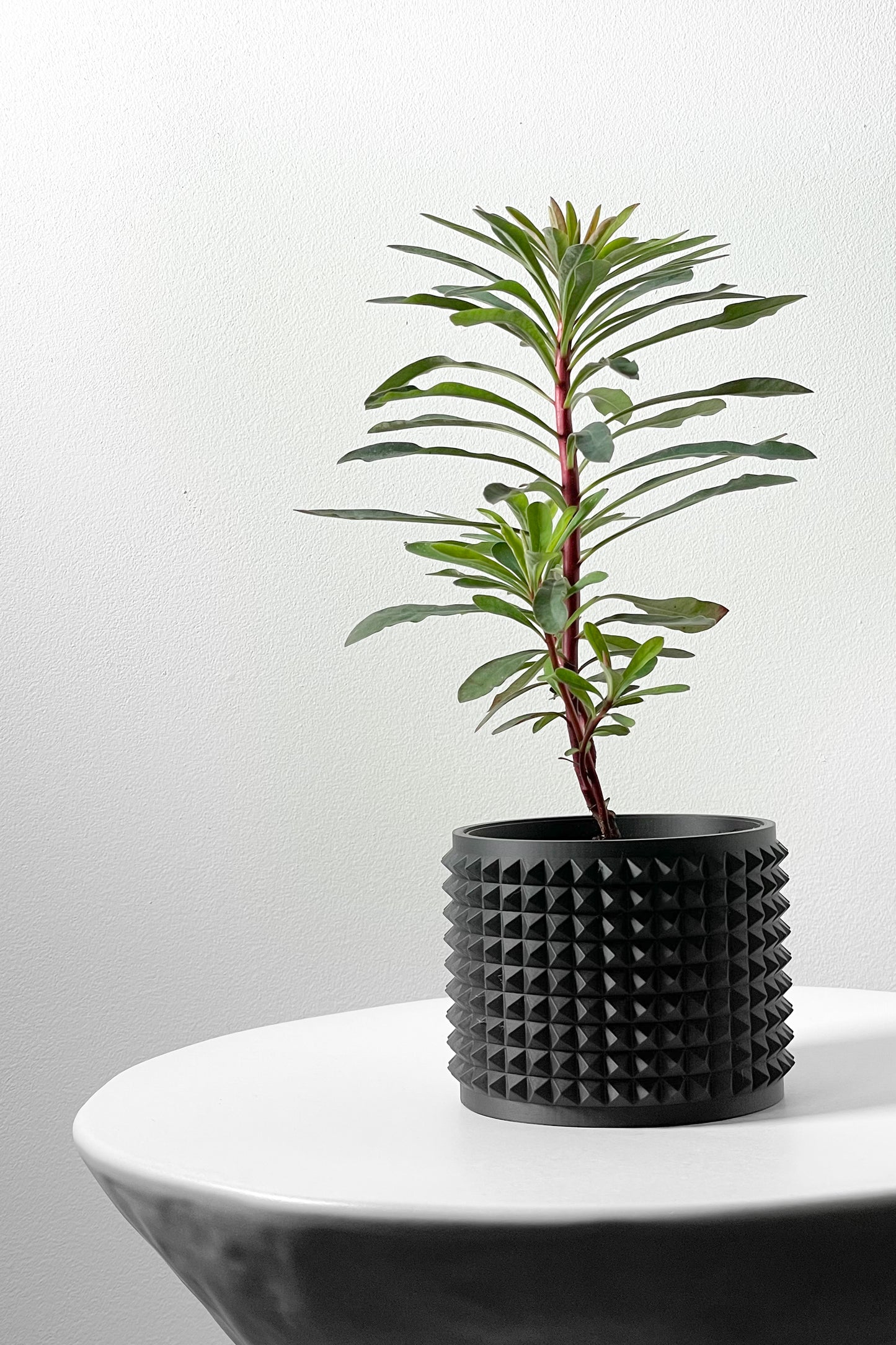 ANVER Planter