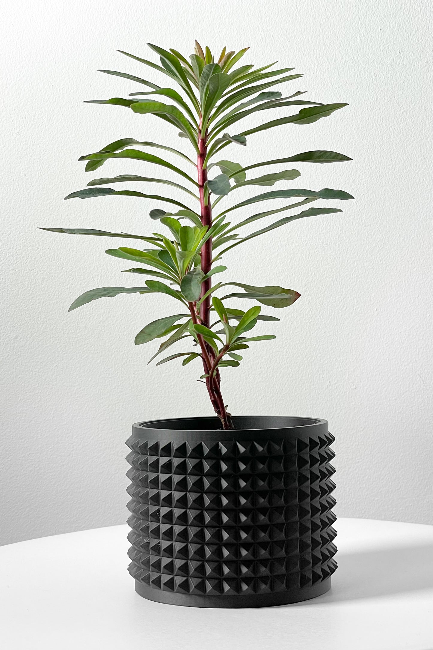 ANVER Planter