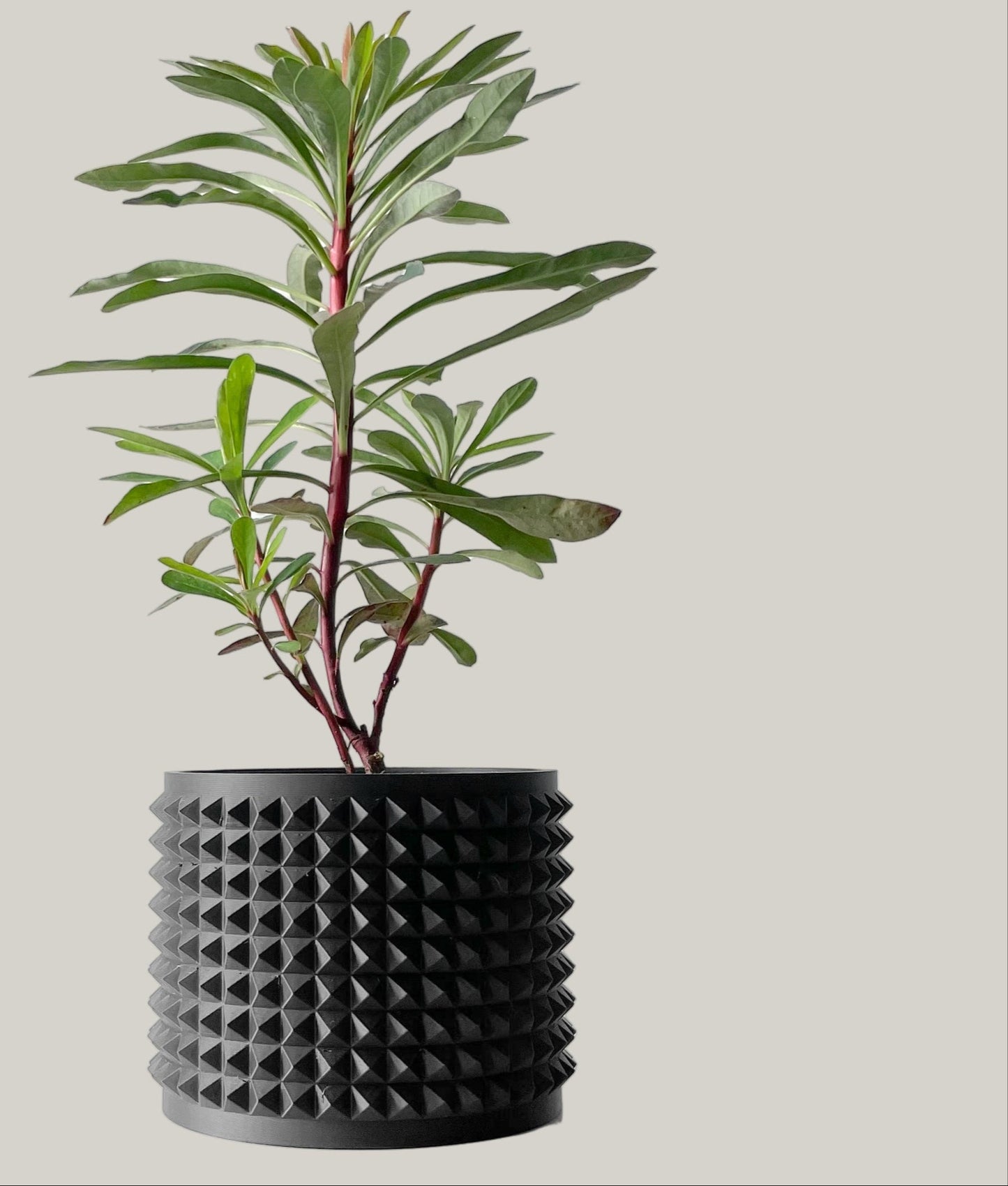 ANVER Planter